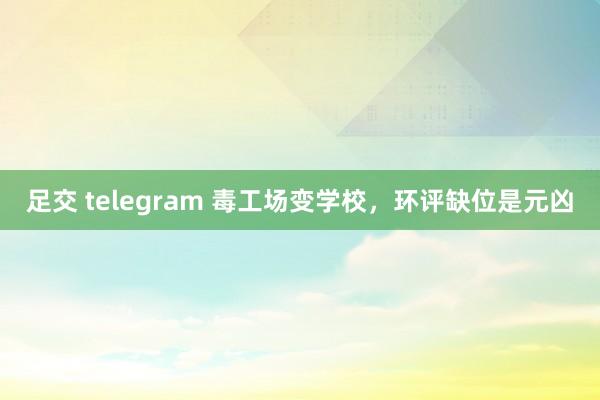 足交 telegram 毒工场变学校，环评缺位是元凶